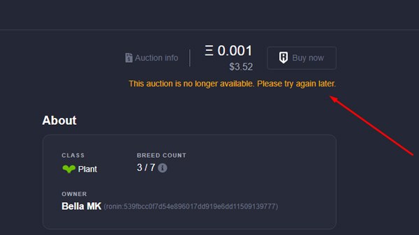 axie-infinity-error-auction